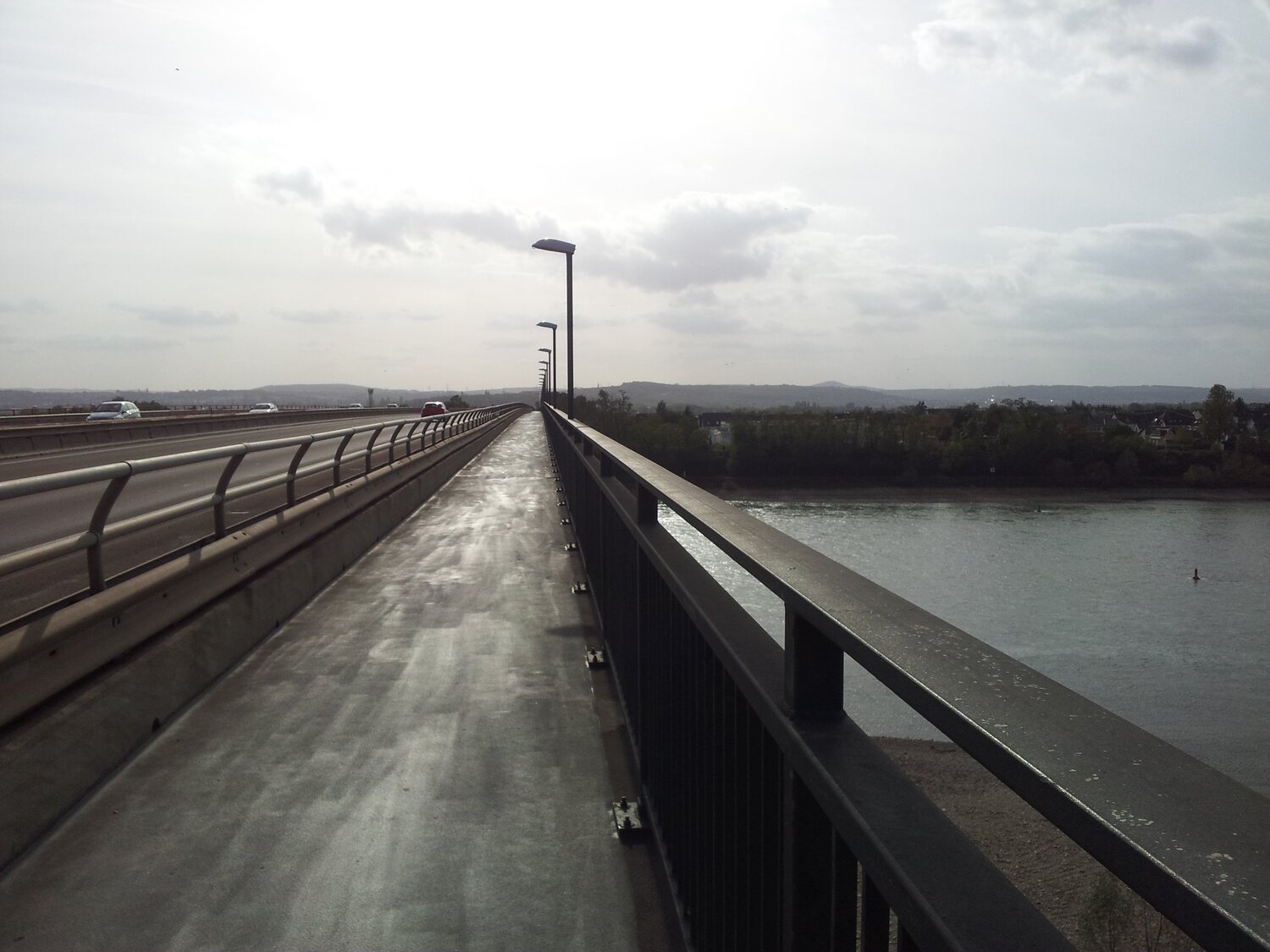 Photo #3795810