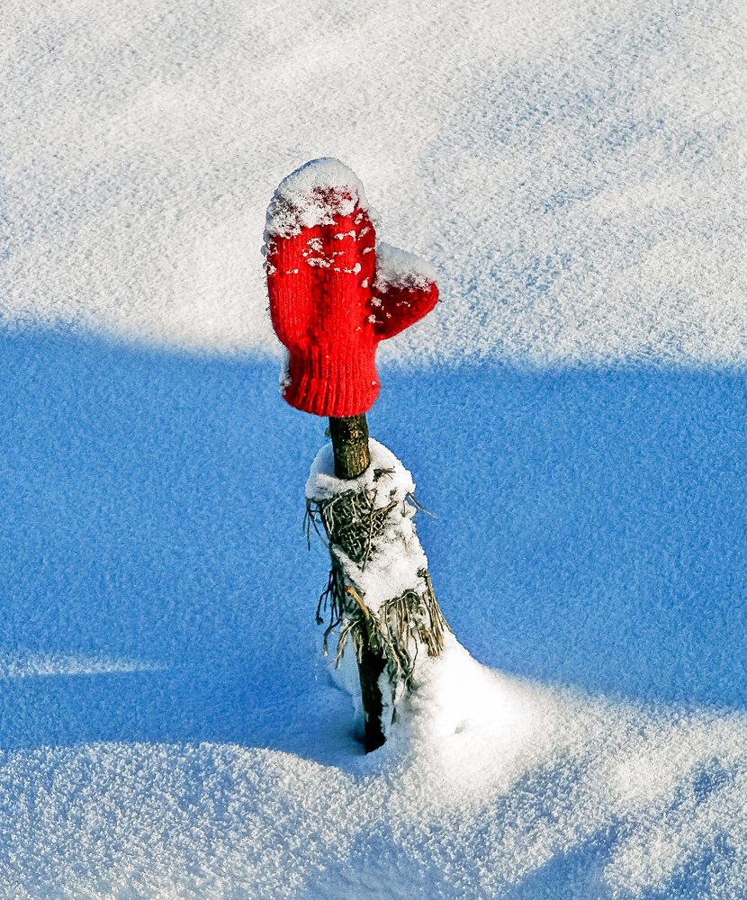 Photograph by Виктор Сёмушкин