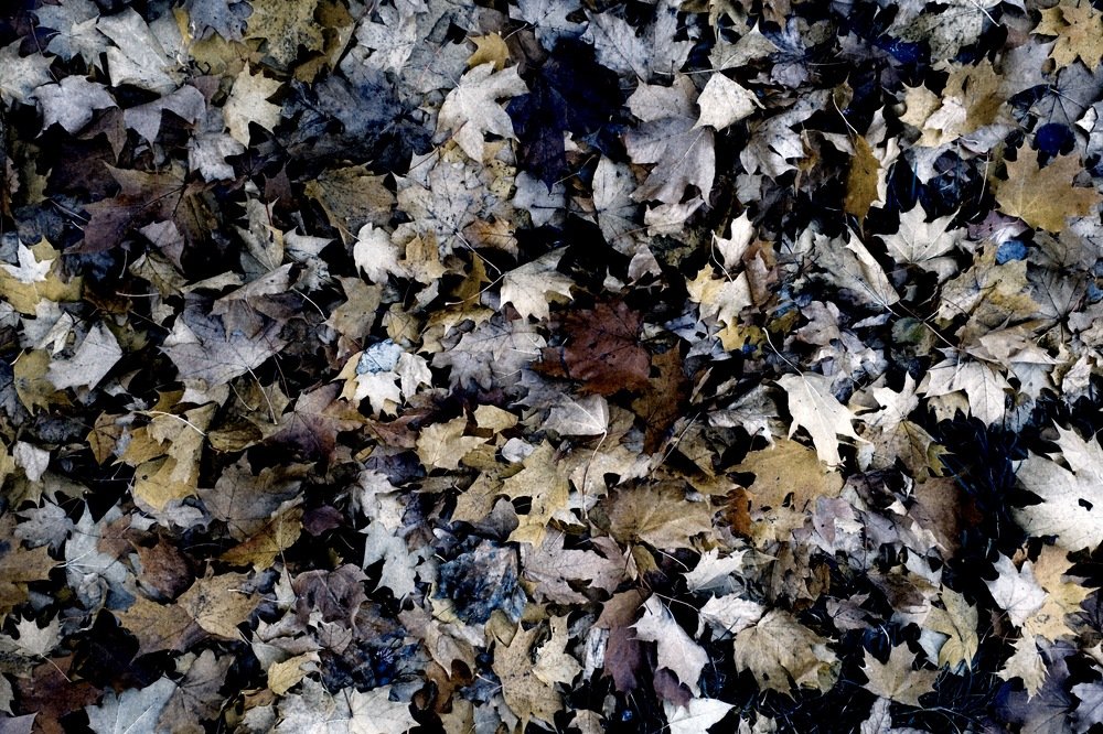 Photograph by Станислав Ситников