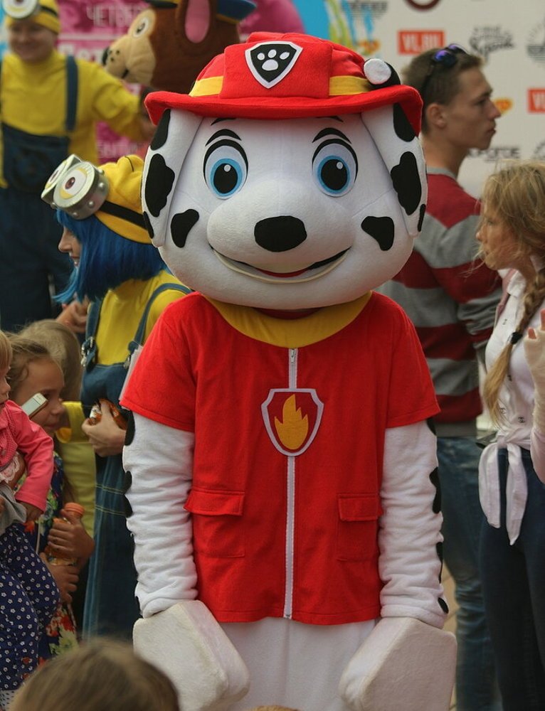 Фотография автора АЛЕКСАНДР ЦЫГЕЛЬНЮК