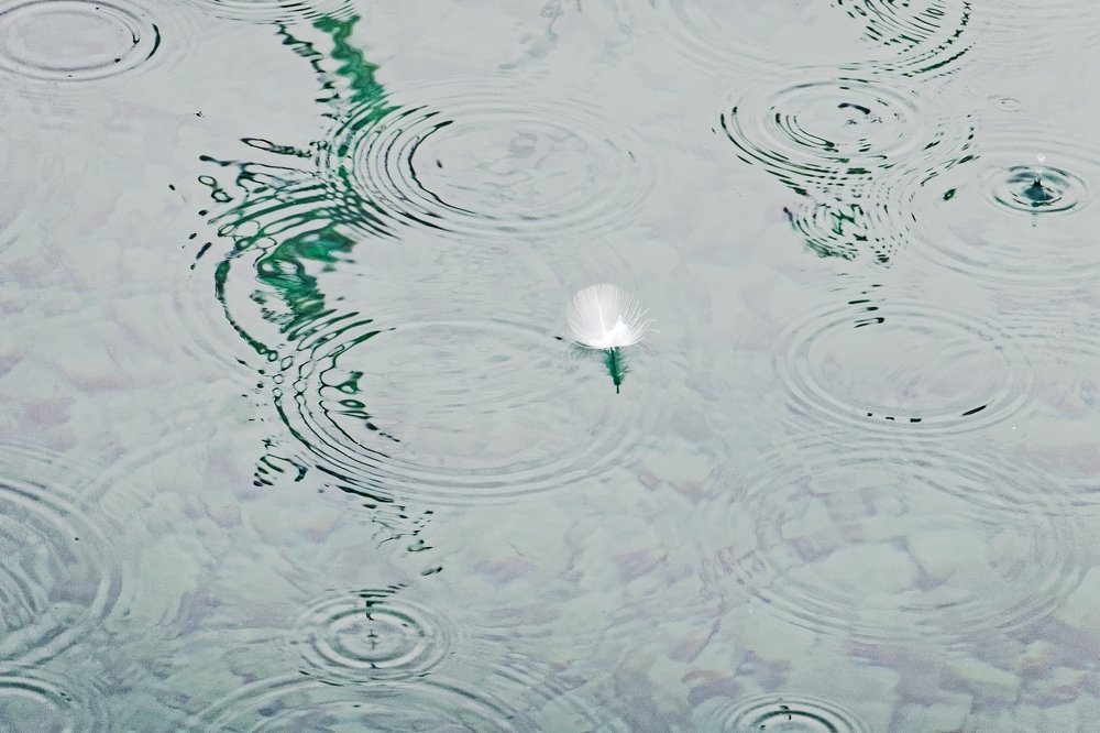 Rain and feather on green water
