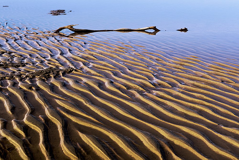 Фотография автора Gerardo Dayan
