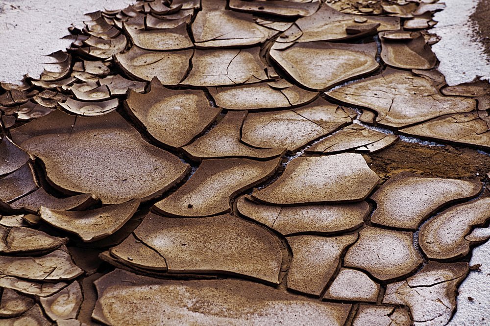 Фотография автора Gerardo Dayan