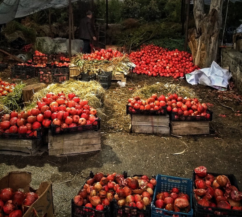 Photograph by Zohre sadat Lajevardi