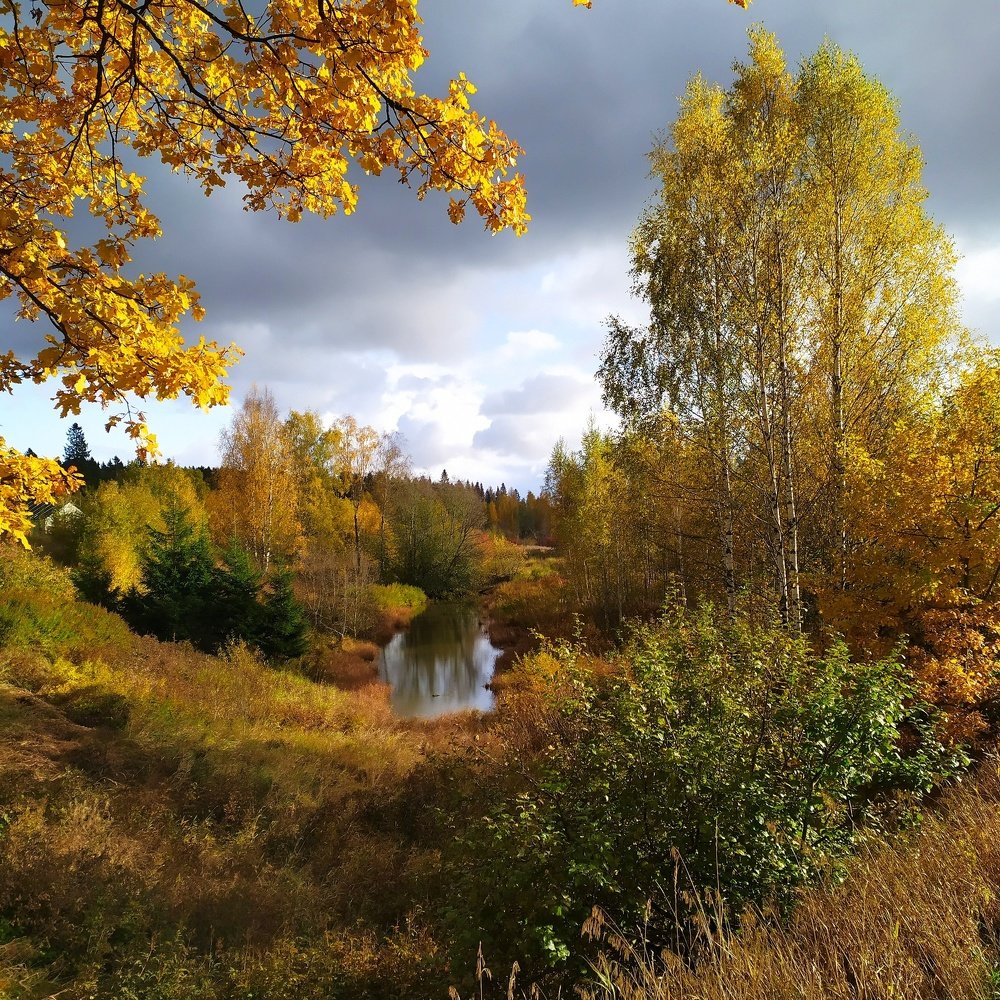 Photograph by Елена Павлова