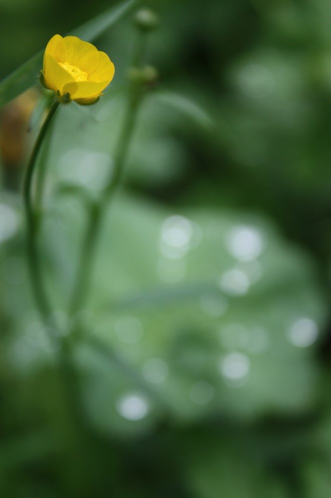 Photograph by Нина Белякова