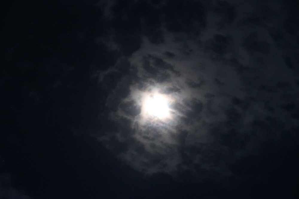 Photograph by Varina Dagia