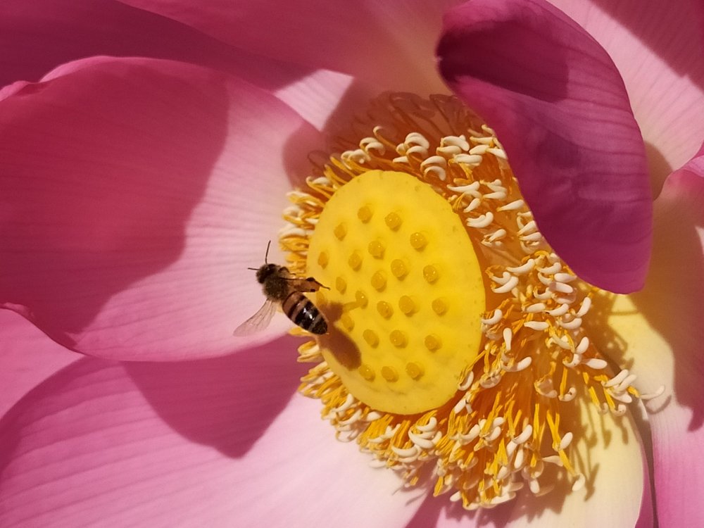 Photograph by Марина Чернигова