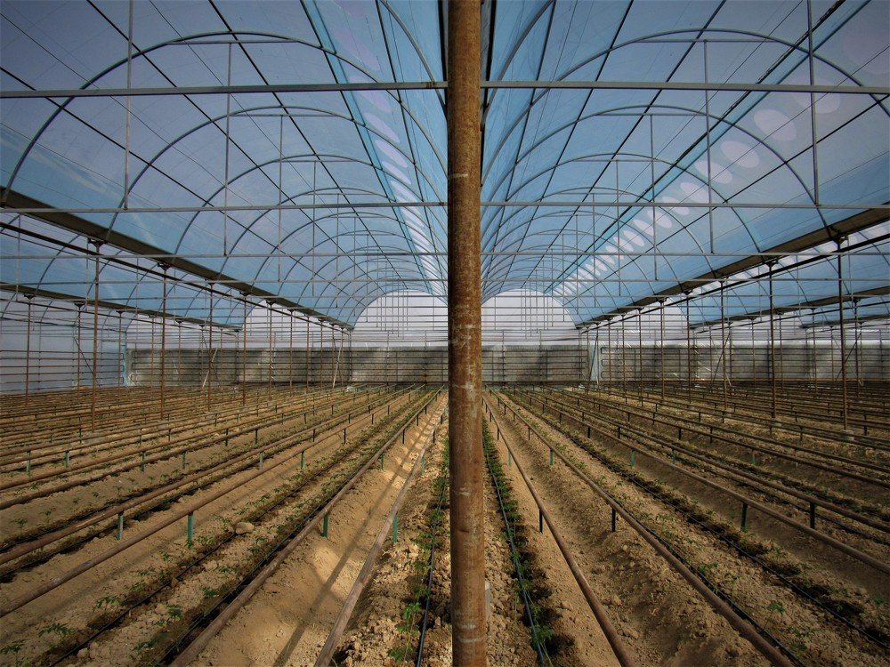 Photograph by Фотима Абдурахманова