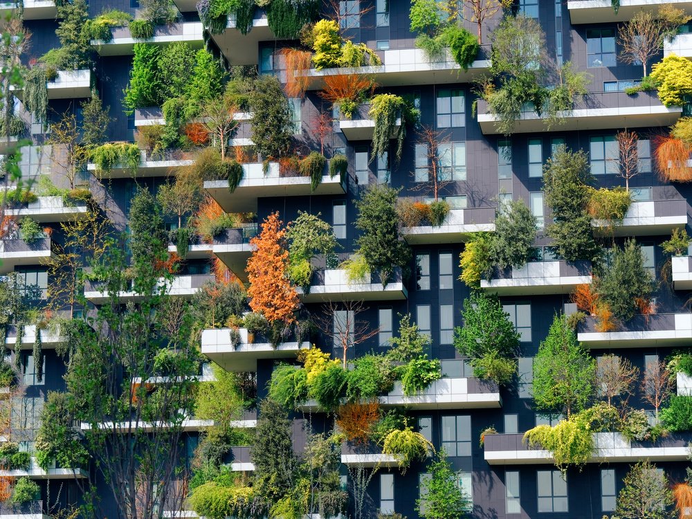 Photograph by Francesco Pireddu