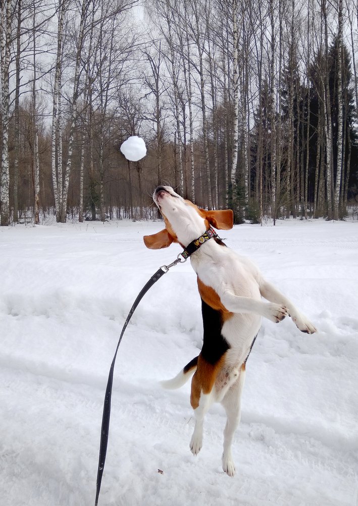 Photograph by Ирина Будагова