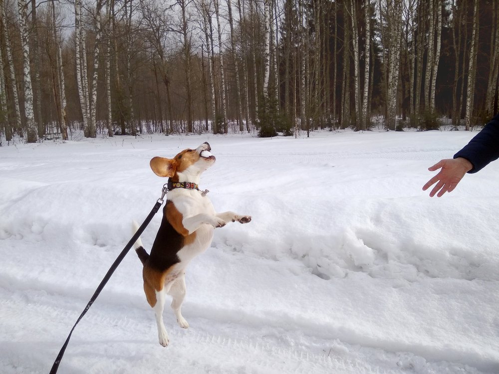 Photograph by Ирина Будагова