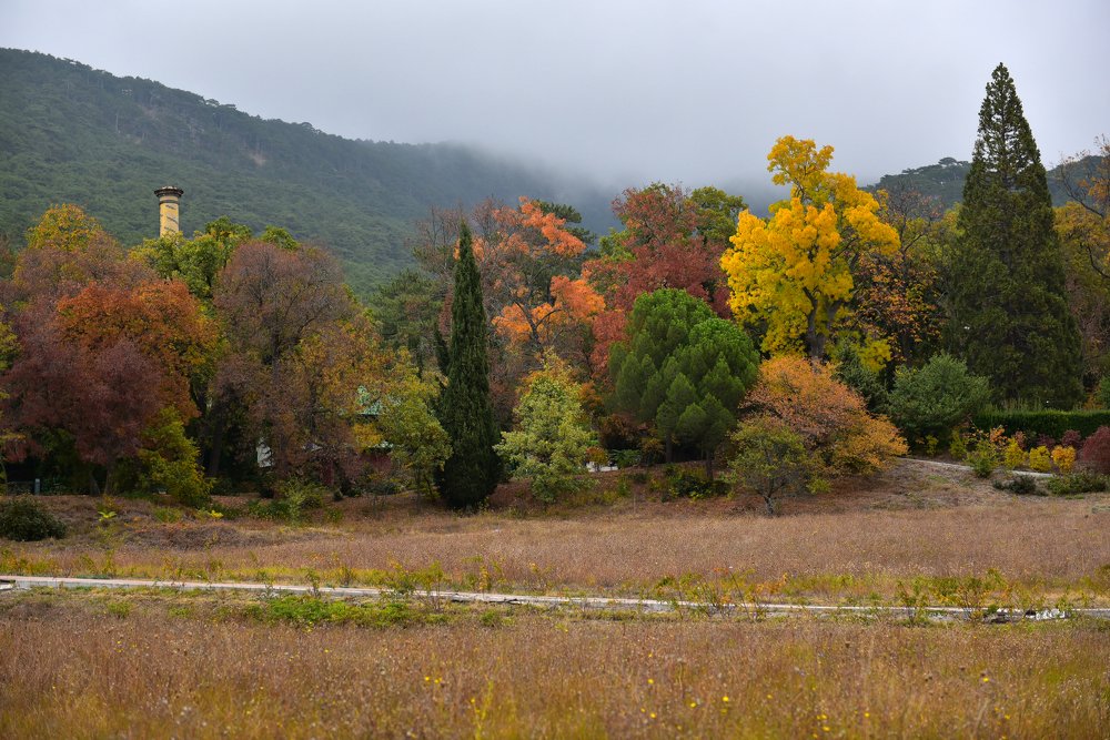 Photograph by Наталья Кузина