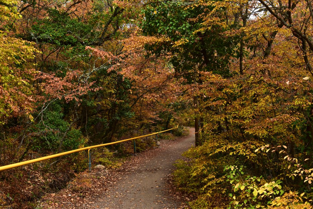 Photograph by Наталья Кузина