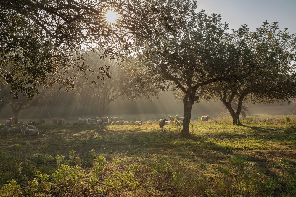 Photograph by Carmen Vich