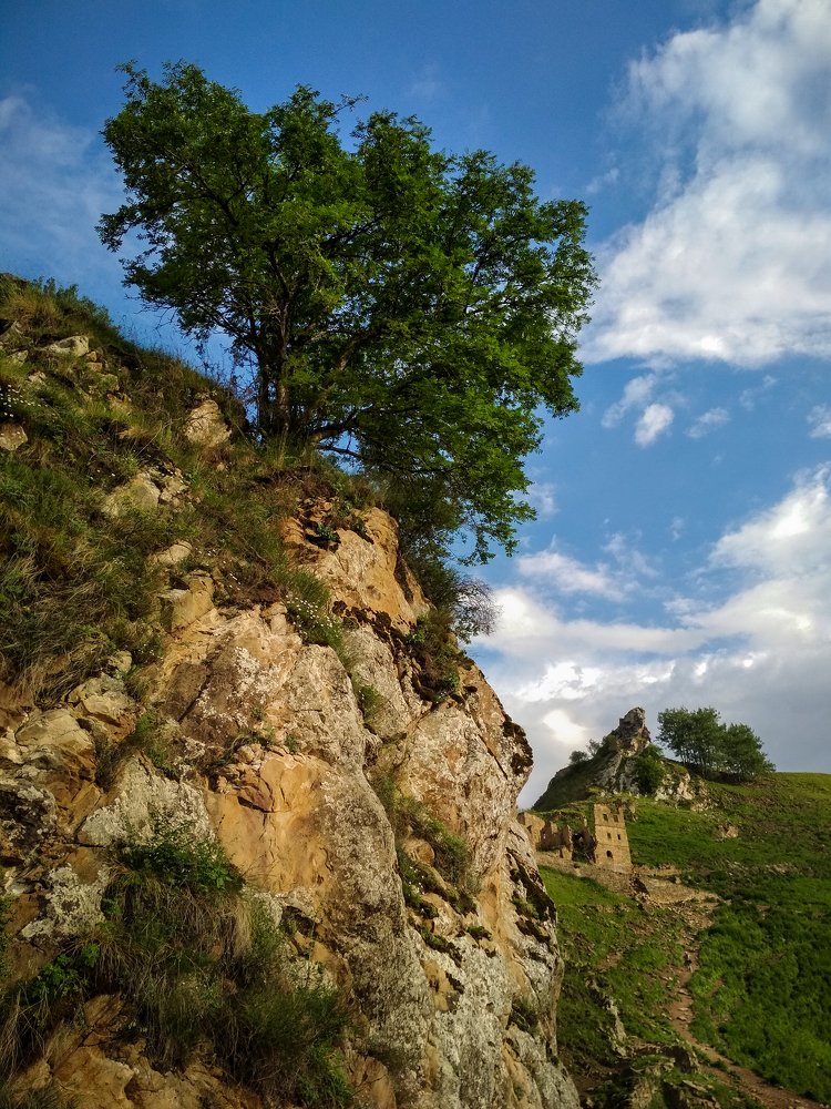Тропа к ушедшей вечности.