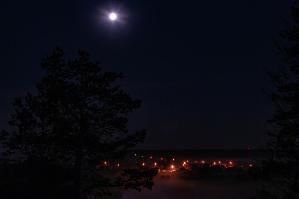 Photograph by Елена Ельцова