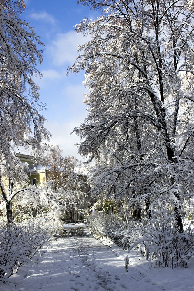 Photograph by Наталья Кучеренко