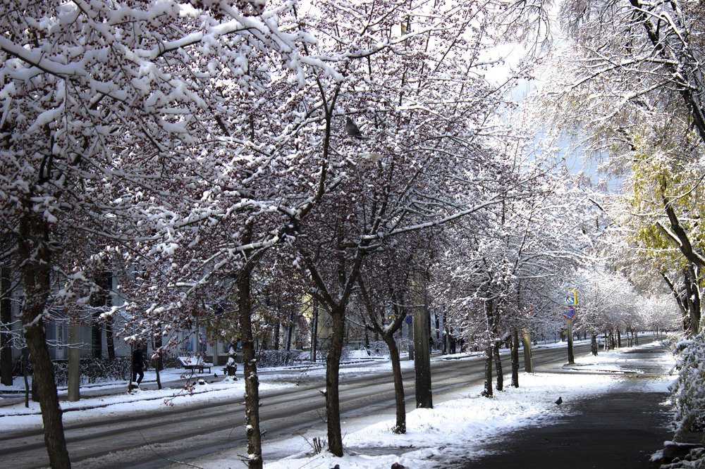 Photograph by Наталья Кучеренко