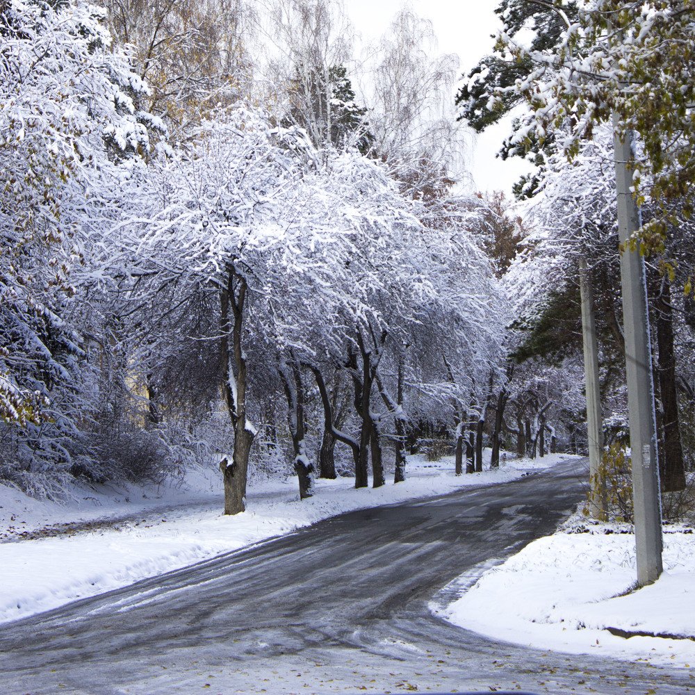 Photograph by Наталья Кучеренко