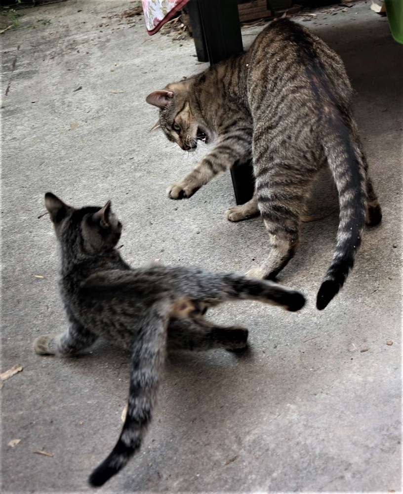 Photograph by Konochonkina