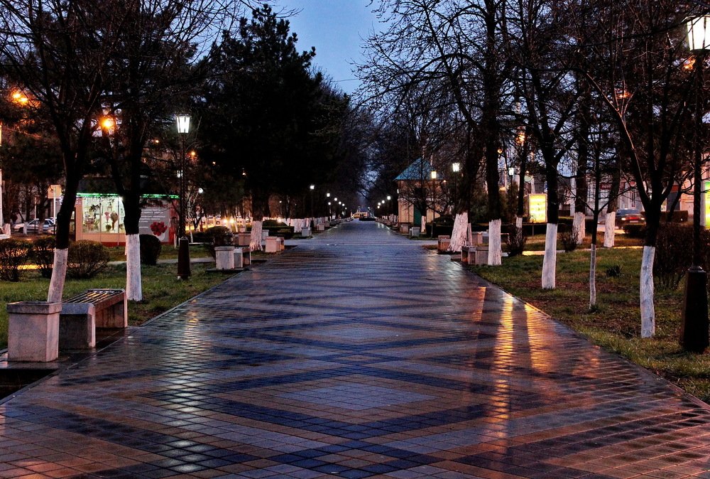 Фотография автора Анатолий Мироненко