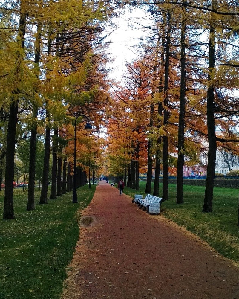 Парк Победы, Санкт-Петербург