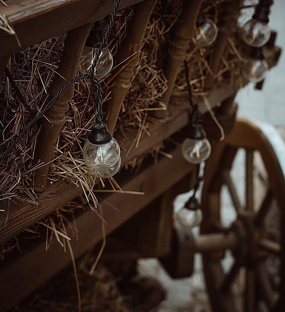 Photograph by Владимир Овсянников