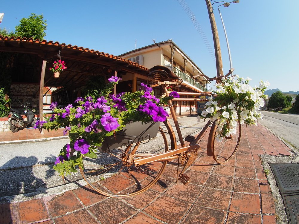 Photograph by Андрей Куприенко