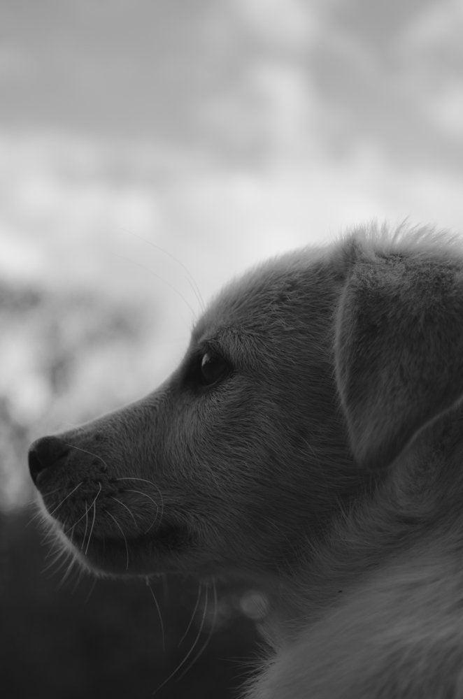 Photograph by Андрей Баранчук