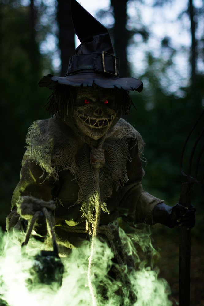 Photograph by mauser