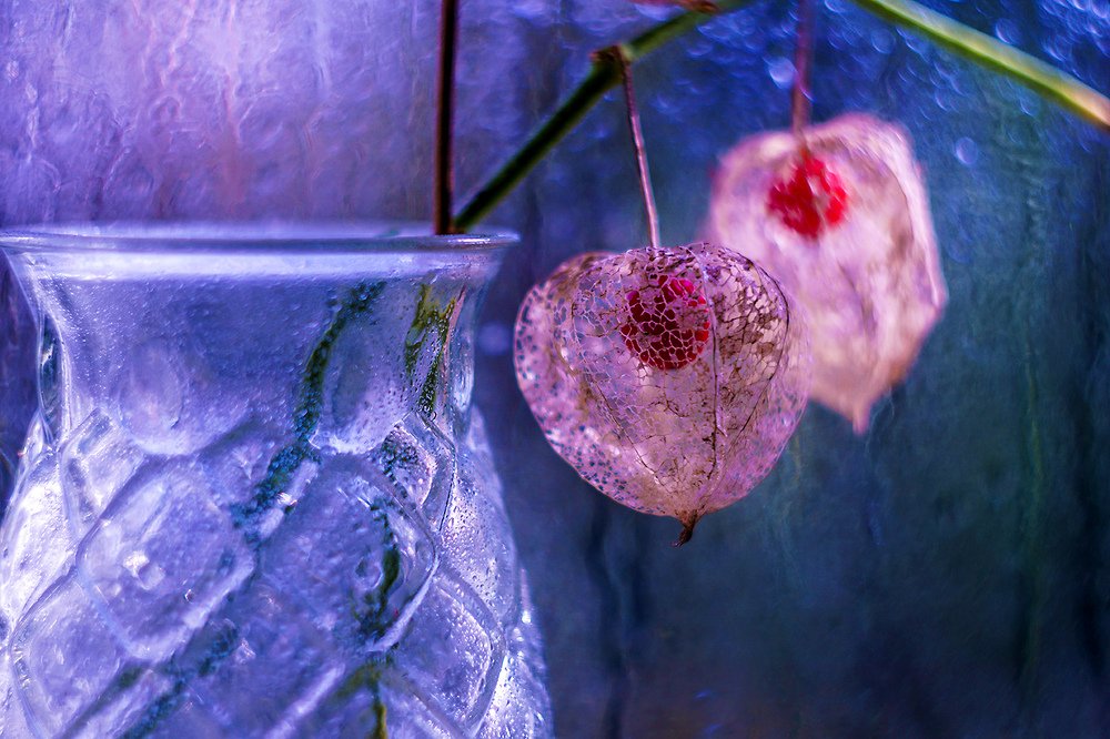 Photograph by Марина Соколова