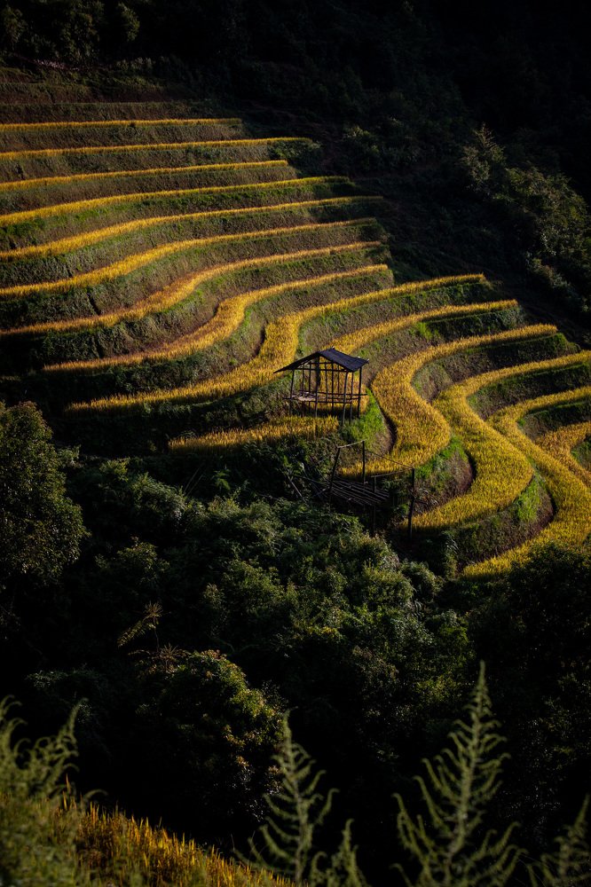 Photograph by Ирина Шевакова