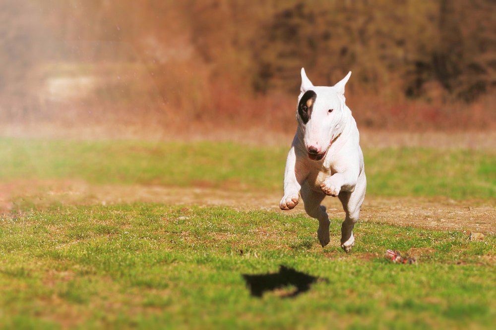 Мама, Я уже лечу!