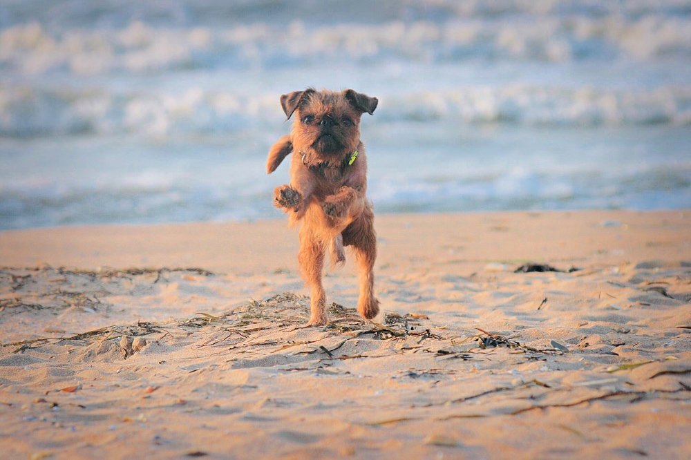 Пляжный сезон открыт!