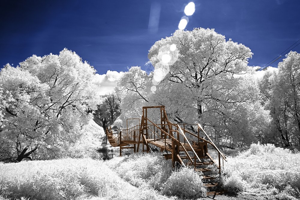 Photograph by Анна Василькова