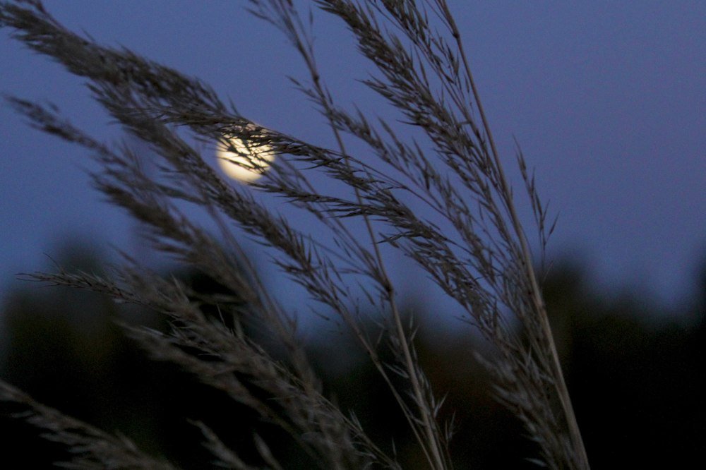 Photograph by Владимир Игошин