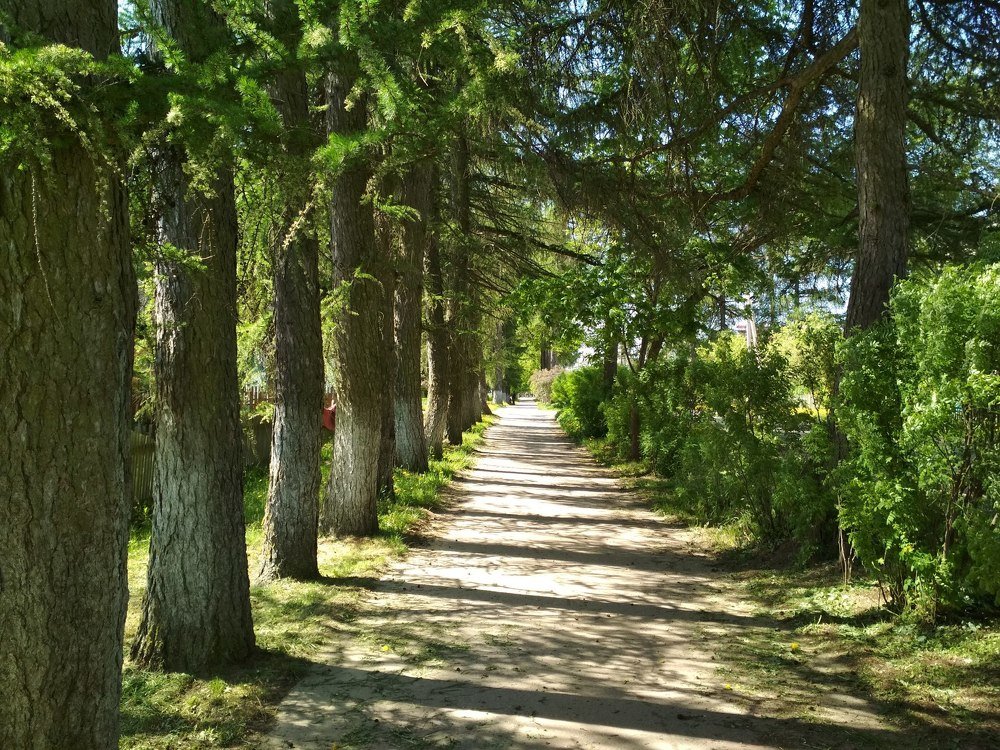 Photograph by Дмитрий