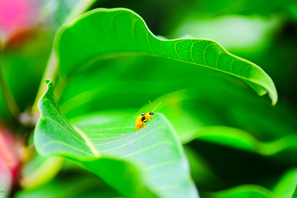 Фотография автора Jenny María Quirós Jiménez