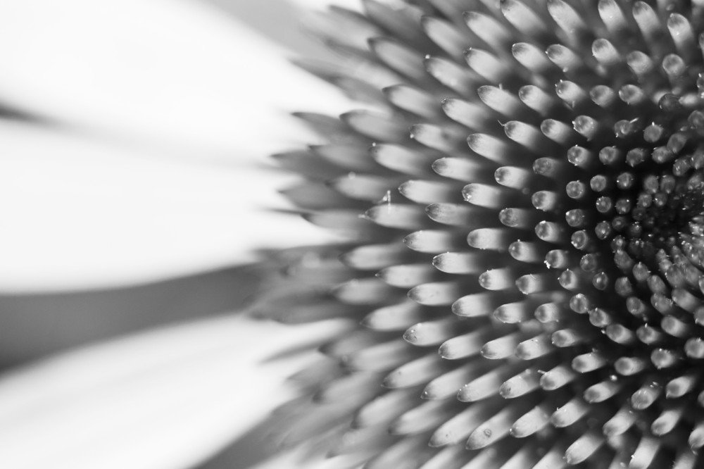 Фотография автора Зоя Малхова