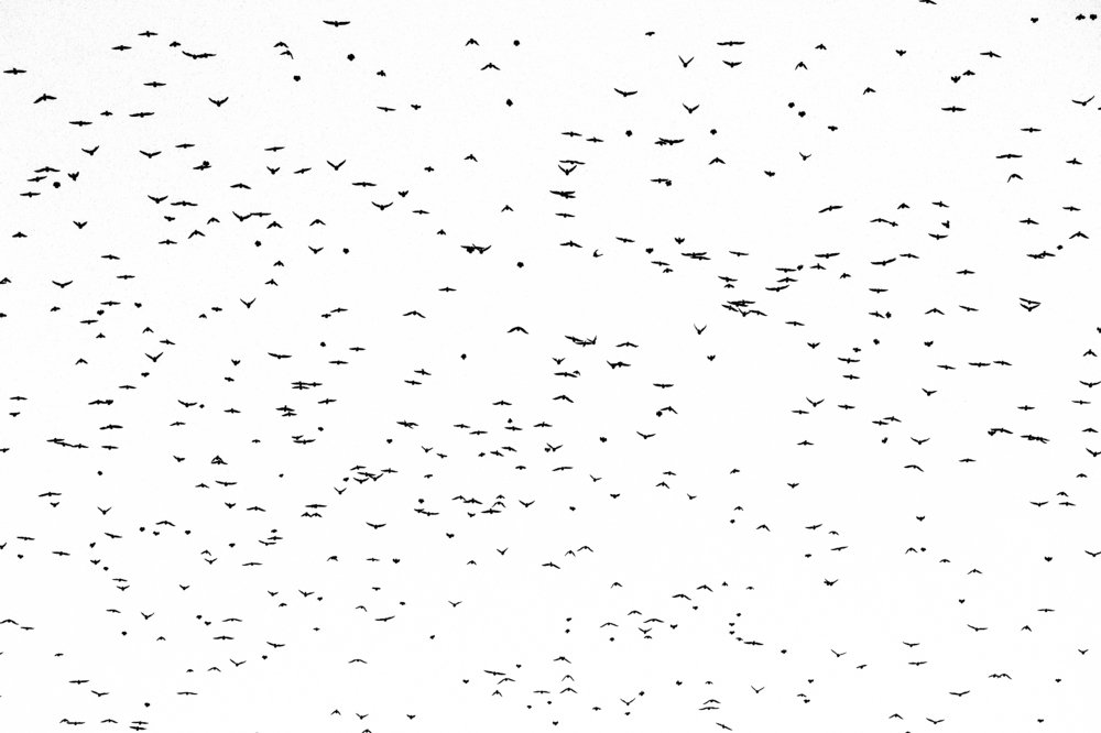 Фотография автора Зоя Малхова