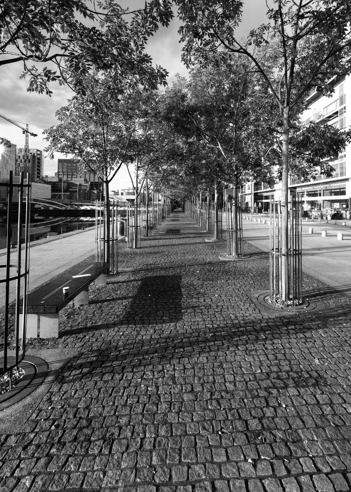 Photograph by Anatoly Chomko