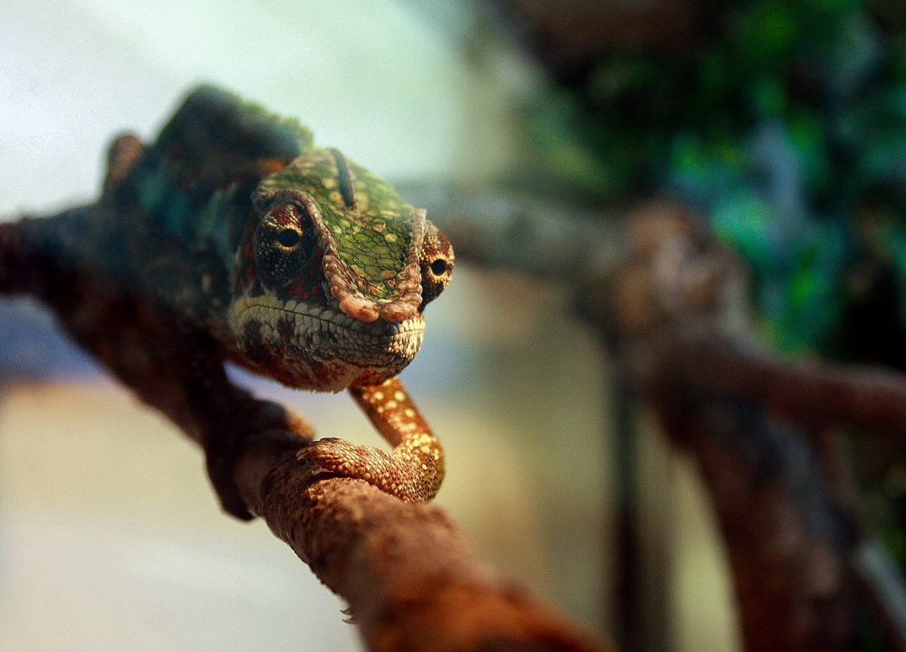 Фотография автора Зоя Малхова