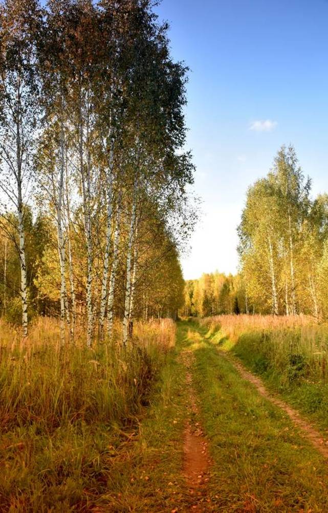 Photograph by Николай Чичерин