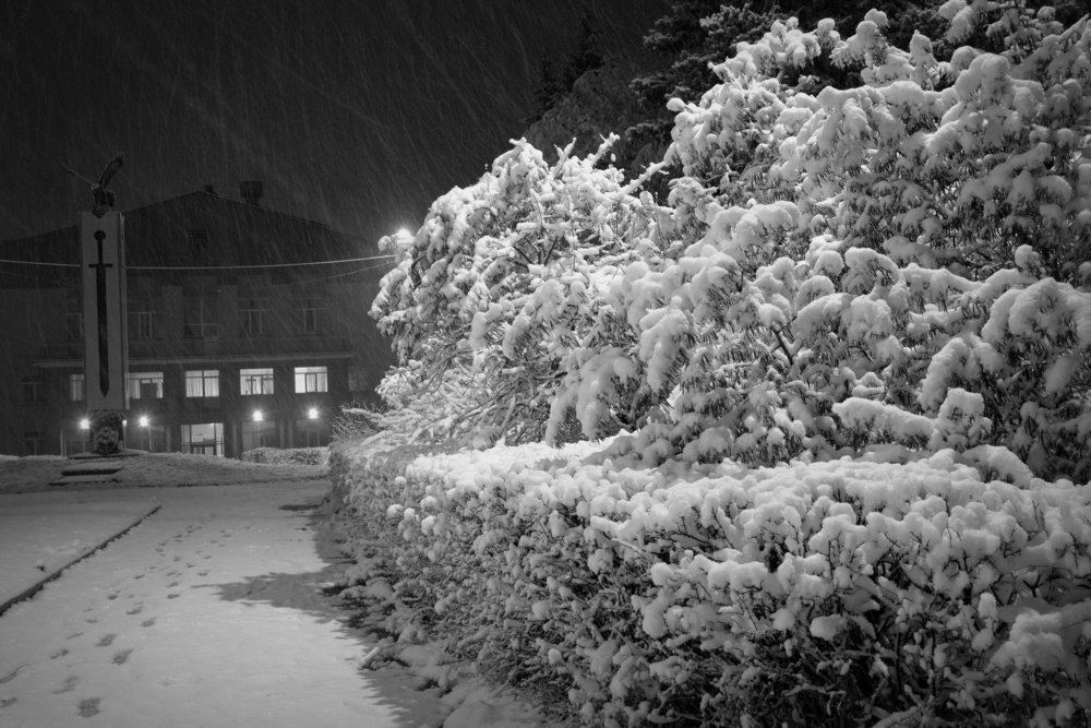 Photograph by Эдуард Петруша