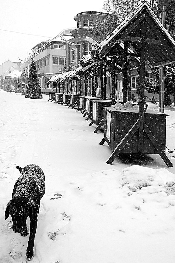 Photograph by Goran Kulezic