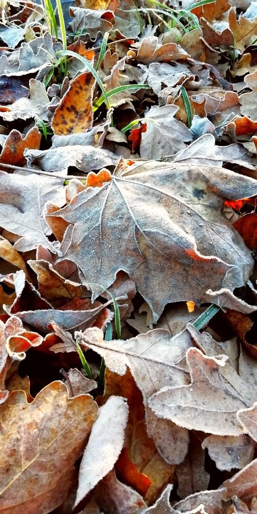 Photograph by Дмитрий