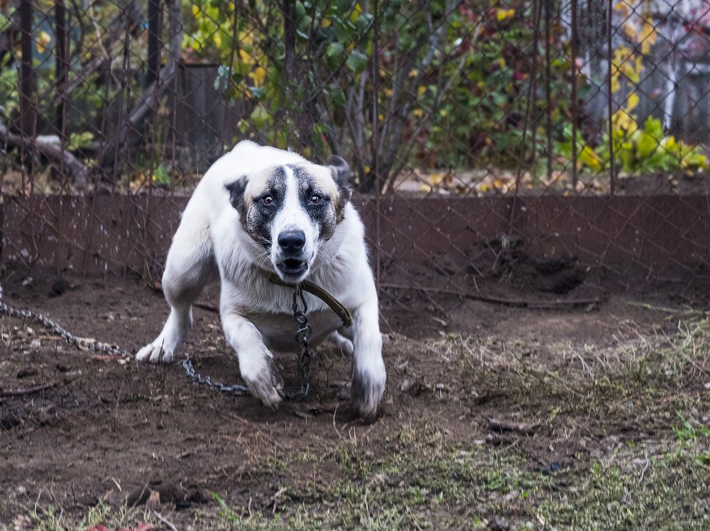 Photograph by Сергей Зварыч