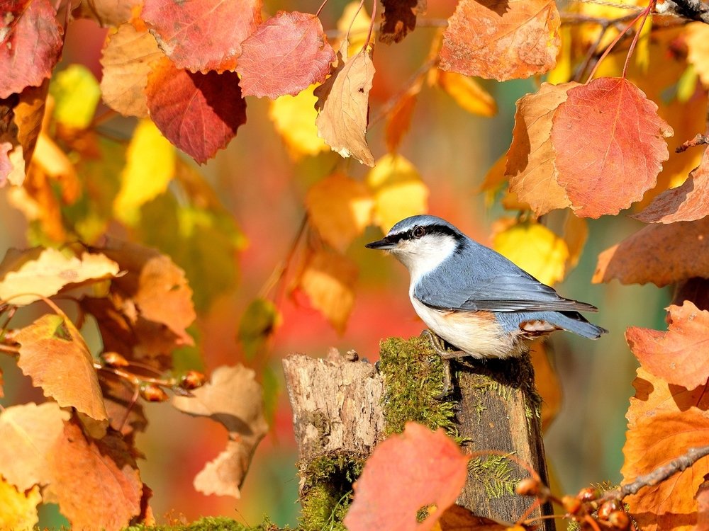 Photograph by vladilenoff