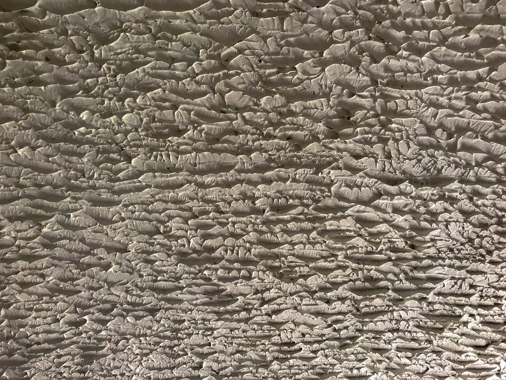 Photograph by Мари Полищук